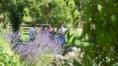 Guidad visning i Botaniska trädgården