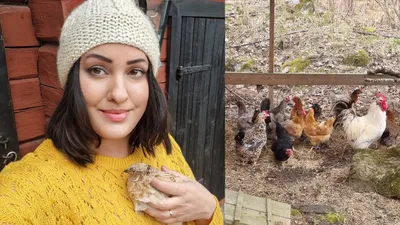 Familjevisning: hälsa på djuren i Parkvillan!