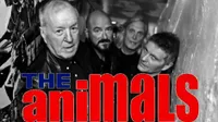Konsert med The Animals
