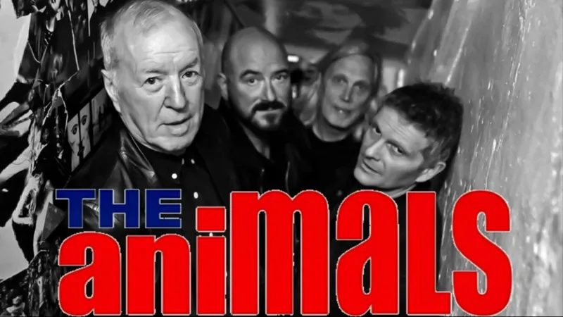 Konsert med The Animals