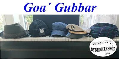 Goa´Gubbar på Folkan