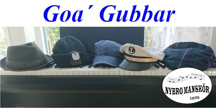 Goa´Gubbar på Folkan
