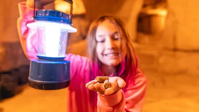 Underjordisk fossiljakt / Underground fossilhunt