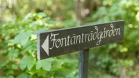 Trädgårdsentré - valfri dag