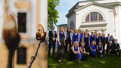 Valborgsmässokonsert