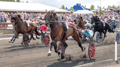 V85 på TingsrydTravet