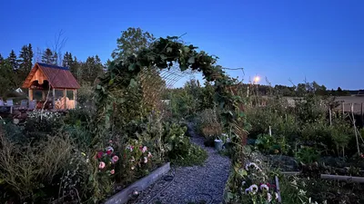 Guidning i Matskogen