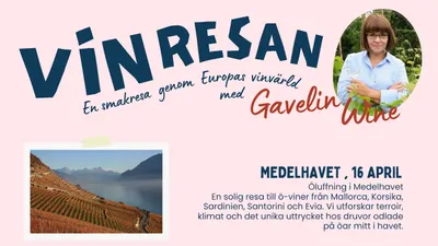 En smakresa genom Europas vinvärld, Fjärde anhalt: Medelhavet